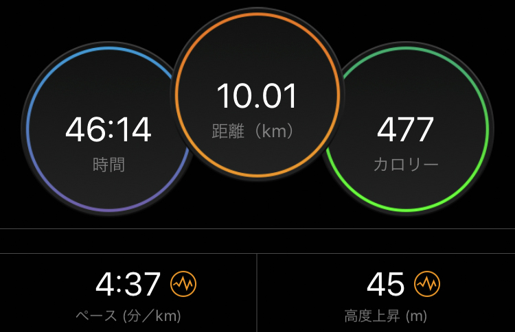 f:id:wild-o-blue:20190818095250j:plain f:id:wild-o-blue:20190818095250j:plain