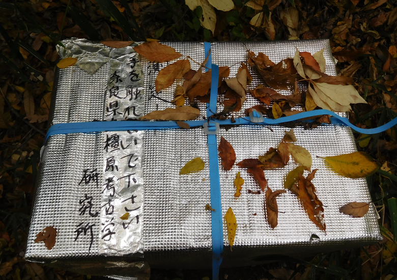 f:id:wild-o-blue:20190922142004j:plain