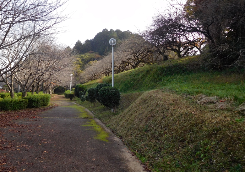 f:id:wild-o-blue:20190923175324j:plain