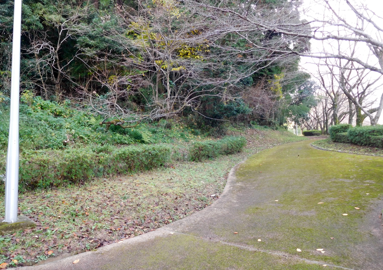 f:id:wild-o-blue:20190923175357j:plain