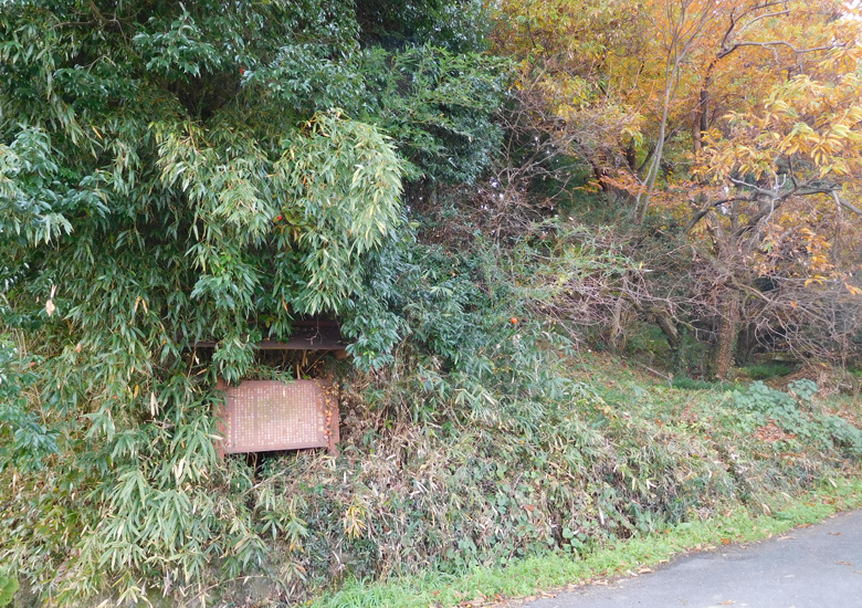 f:id:wild-o-blue:20190923175418j:plain