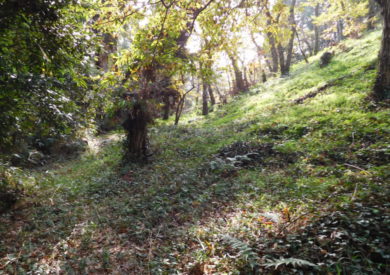 f:id:wild-o-blue:20190923180127j:plain