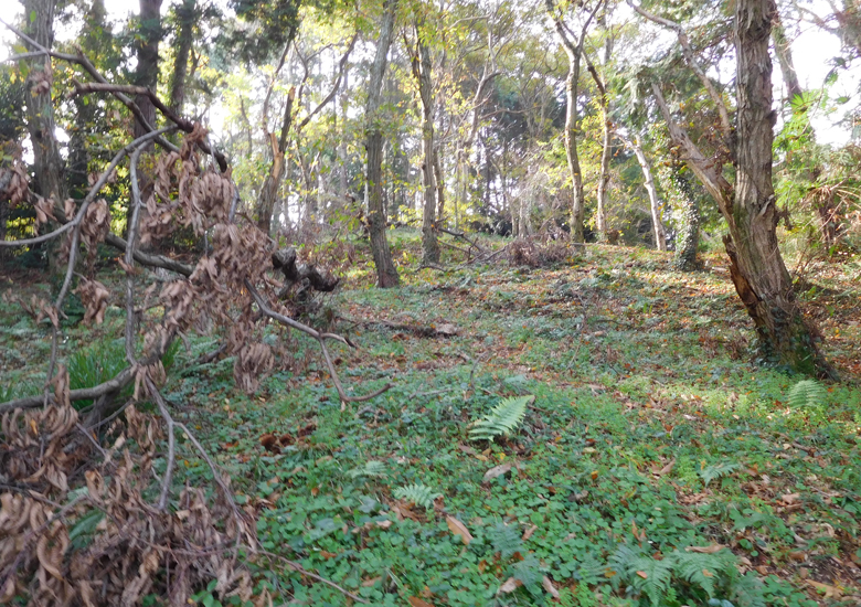 f:id:wild-o-blue:20190923180145j:plain