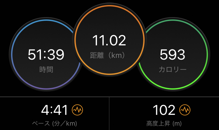 f:id:wild-o-blue:20191118222009j:plain