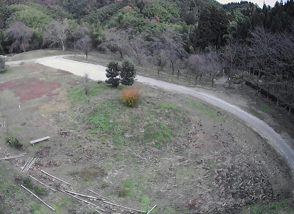 f:id:wild-o-blue:20191208083837j:plain