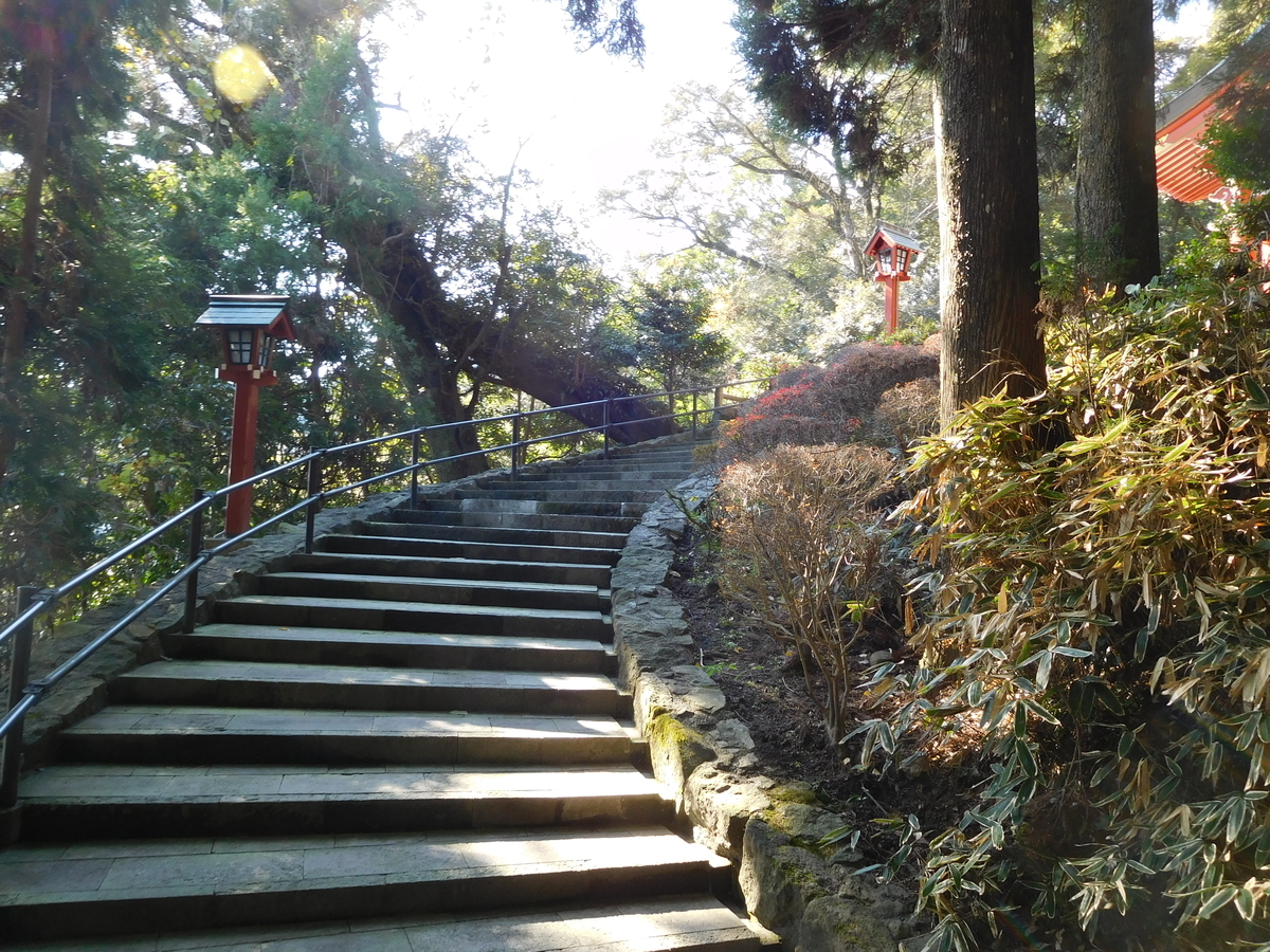 f:id:wild-o-blue:20200103082813j:plain