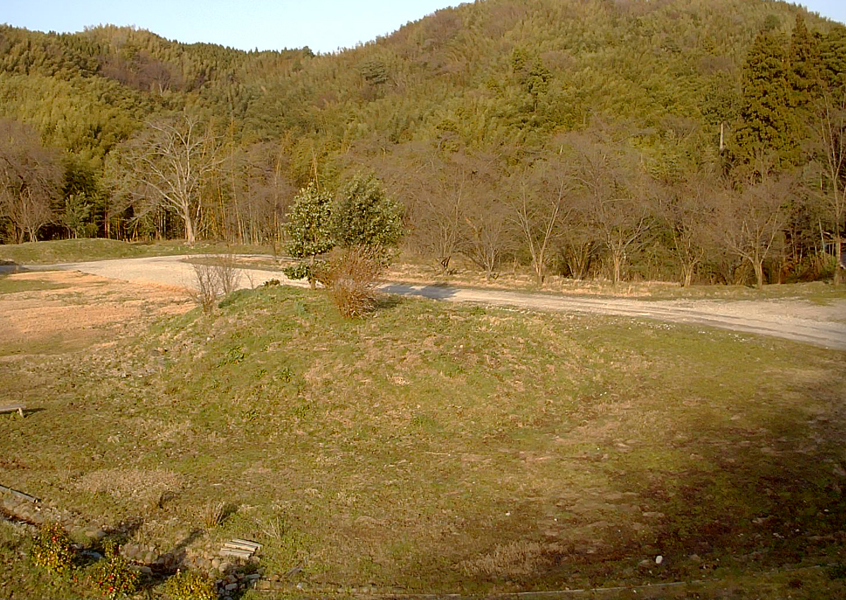 f:id:wild-o-blue:20200322090256j:plain