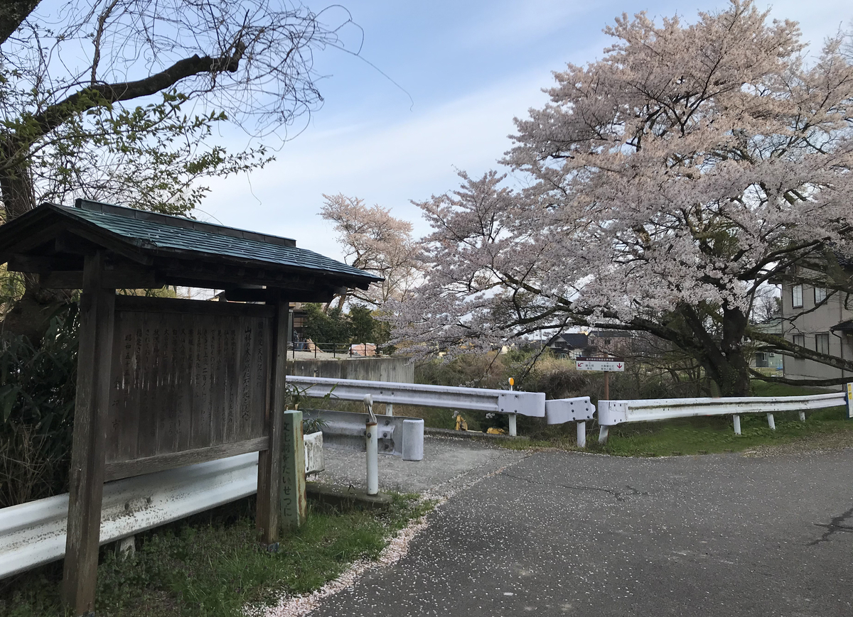 f:id:wild-o-blue:20200413204840j:plain f:id:wild-o-blue:20200413204840j:plain