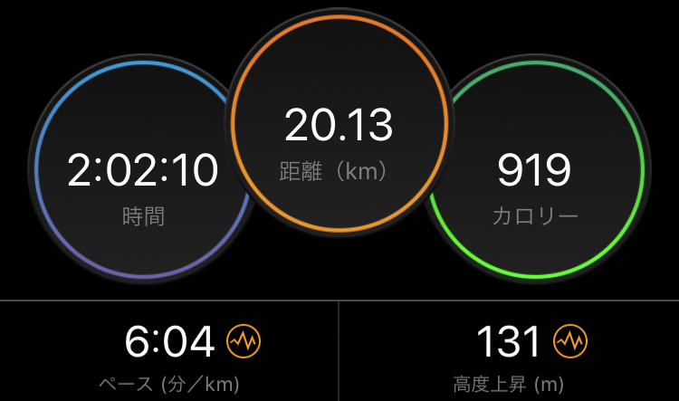 f:id:wild-o-blue:20200413204857j:plain f:id:wild-o-blue:20200413204857j:plain