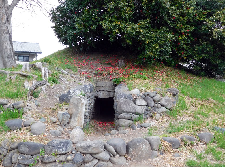 f:id:wild-o-blue:20210425082813j:plain