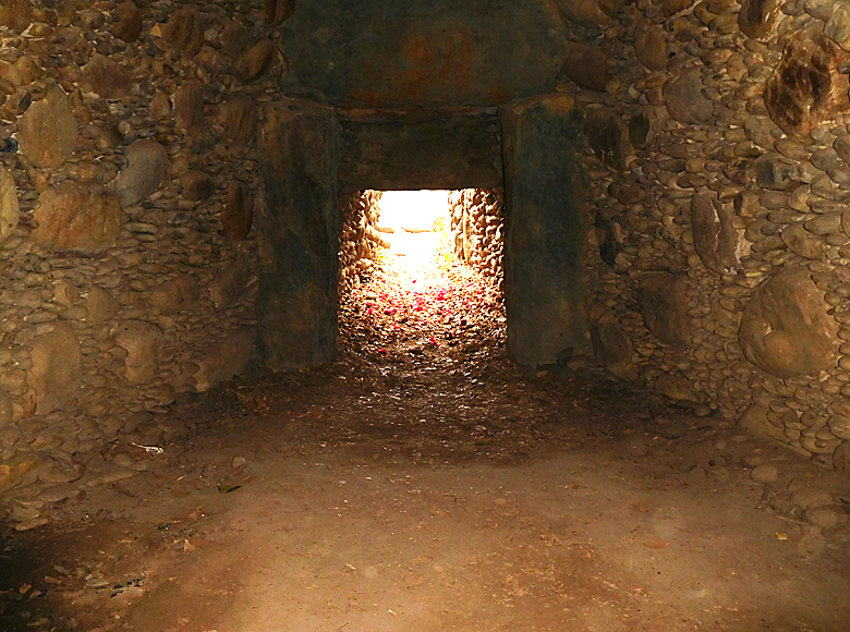 f:id:wild-o-blue:20210425084235j:plain