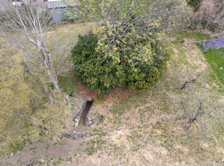 f:id:wild-o-blue:20210425084809j:plain