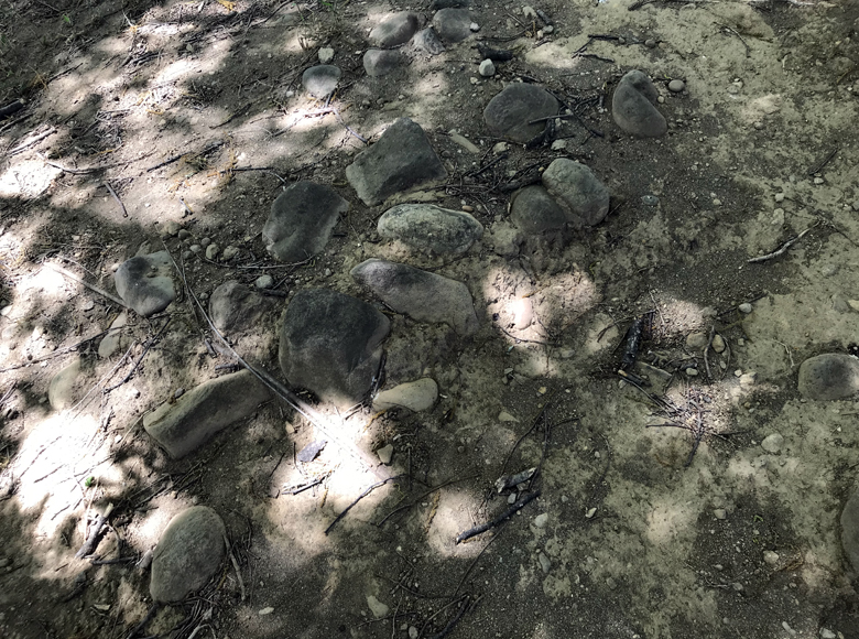f:id:wild-o-blue:20210425093019j:plain