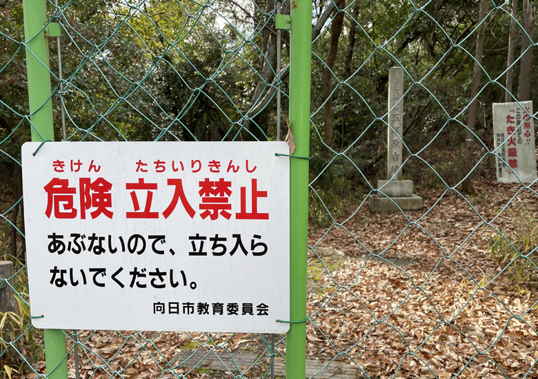 f:id:wild-o-blue:20220101084513j:plain