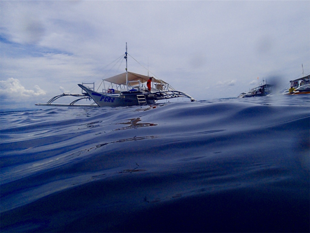 f:id:wild_cat:20180705060203j:image f:id:wild_cat:20180705060203j:image