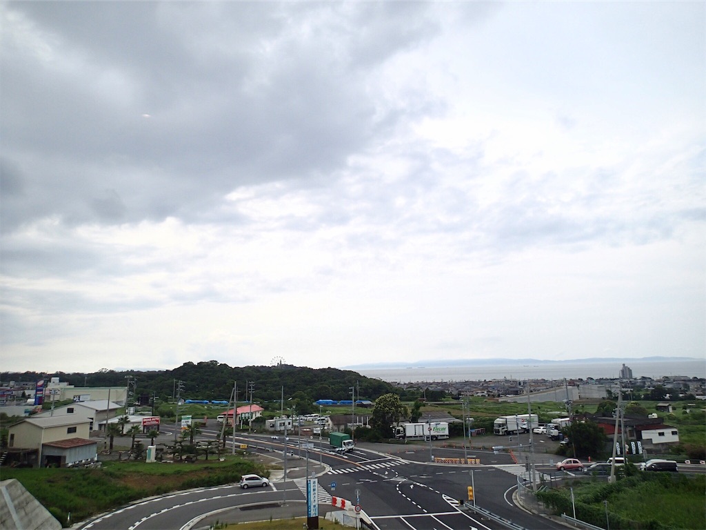 f:id:wild_cat:20190702134521j:image f:id:wild_cat:20190702134521j:image