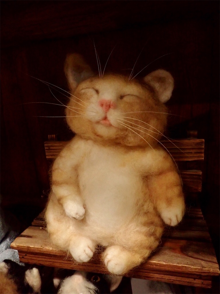 f:id:wild_cat:20191019063634j:image