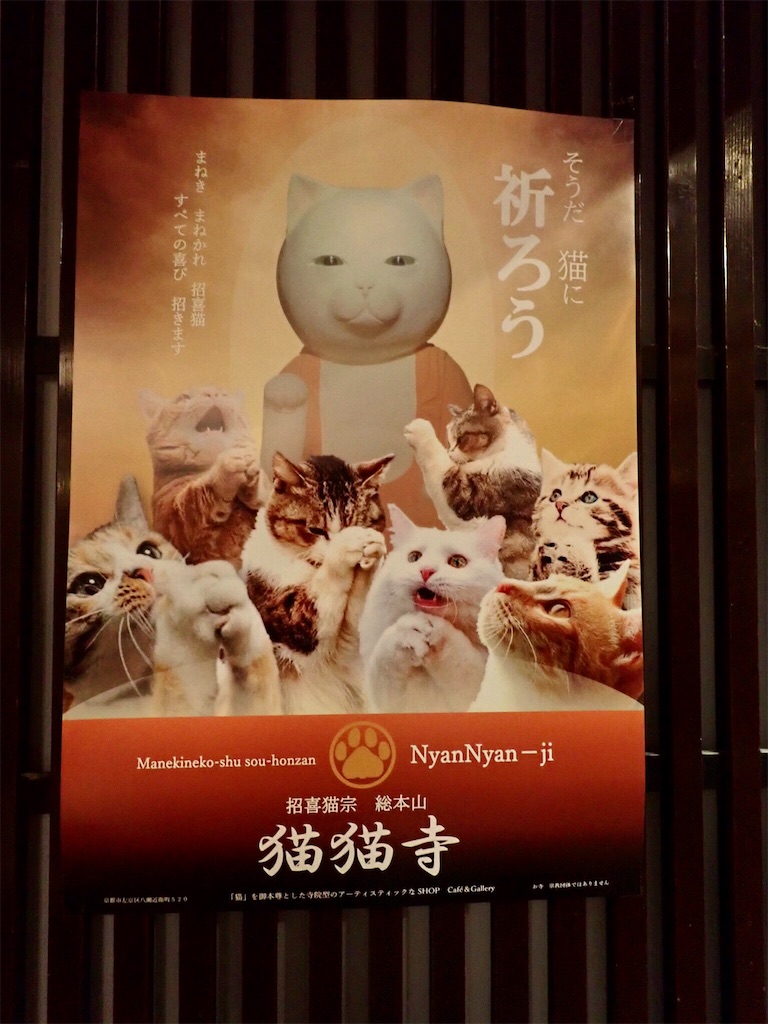 f:id:wild_cat:20191019063802j:image