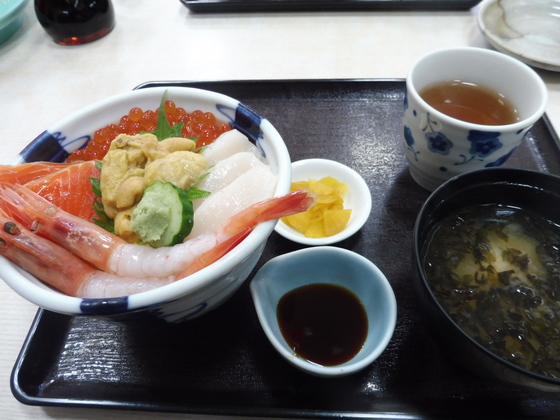 f:id:wildboar4545:20170110222328j:plain