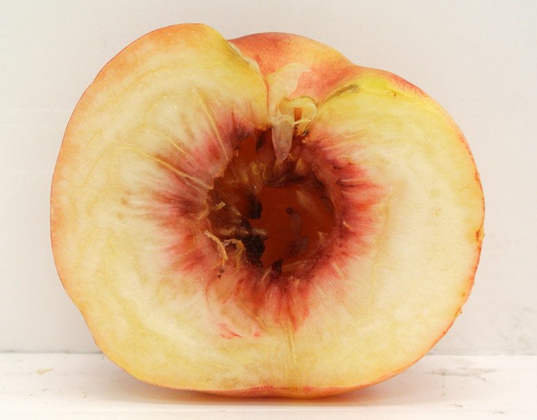 f:id:wildbrain:20201114150247j:plain f:id:wildbrain:20201114150247j:plain