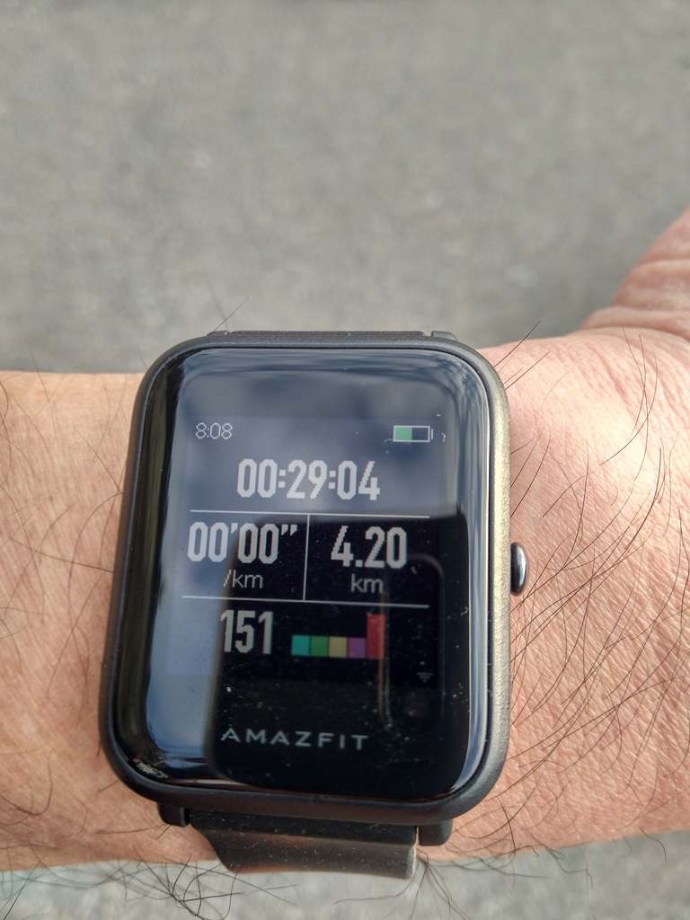f:id:wildhog:20190130132728j:plain f:id:wildhog:20190130132728j:plain