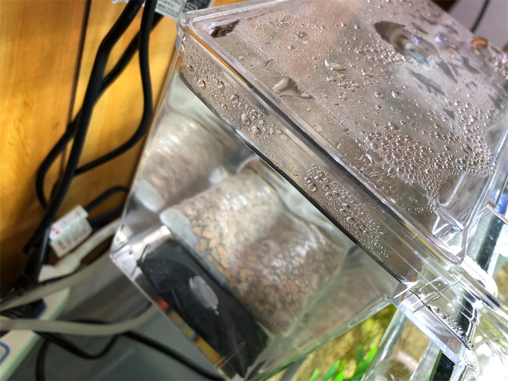 f:id:wildmedaka:20181205222159j:image