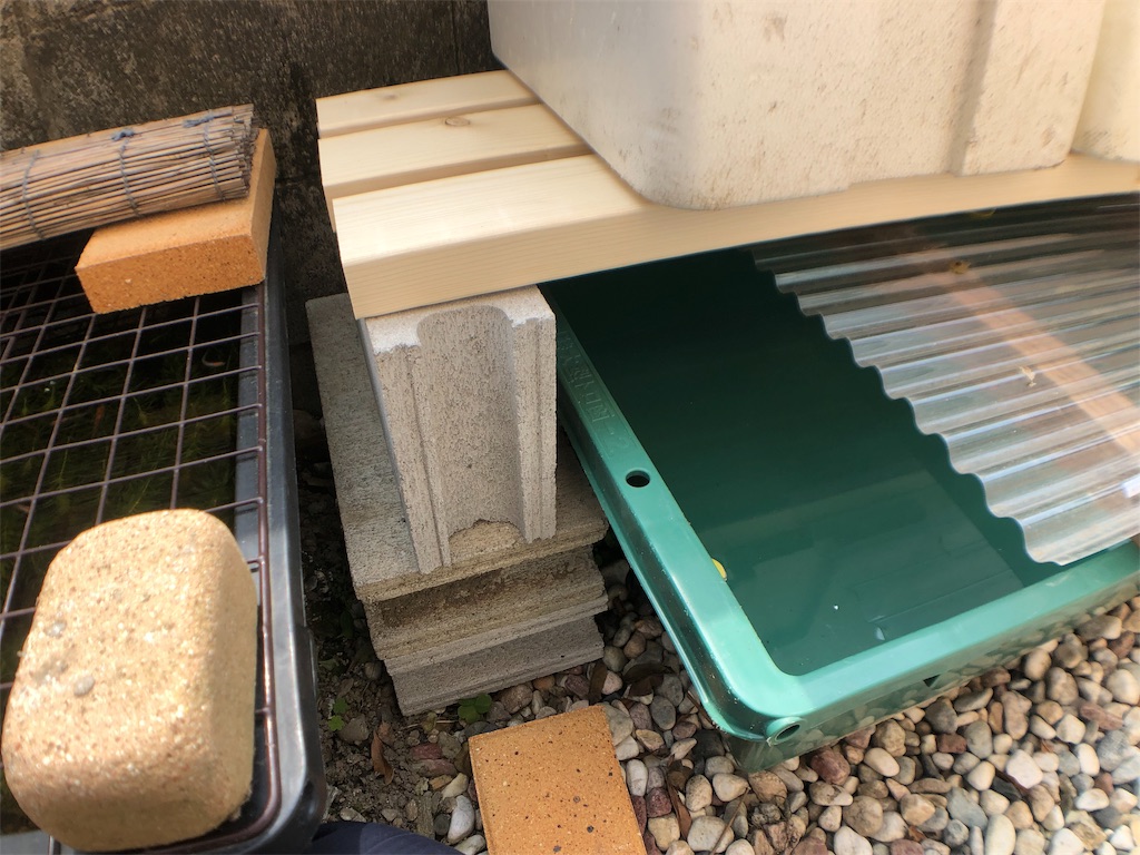 f:id:wildmedaka:20190413223539j:image