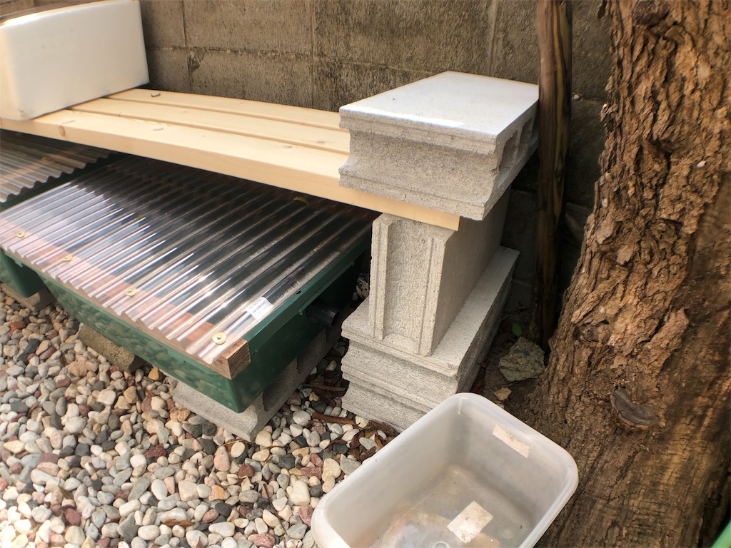 f:id:wildmedaka:20190413223607j:image