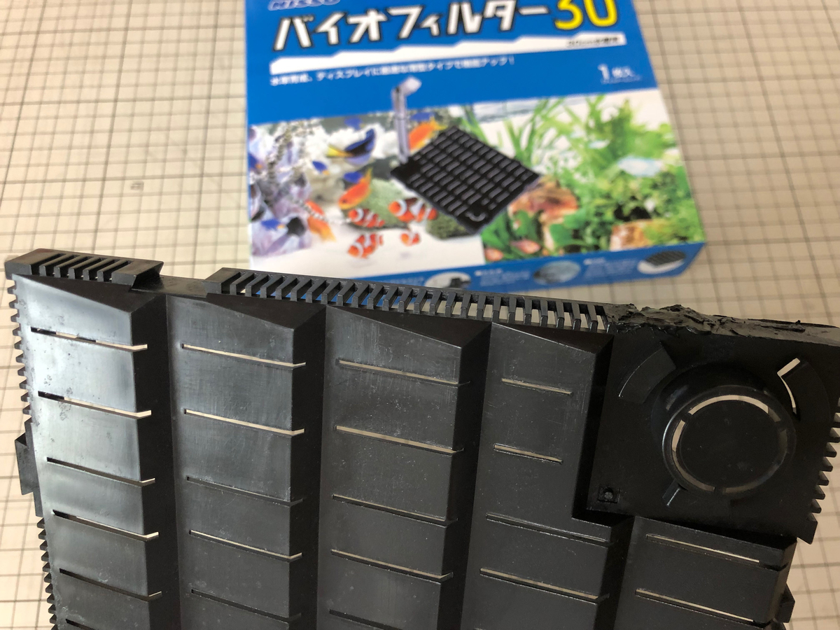 f:id:wildmedaka:20190914183159j:plain