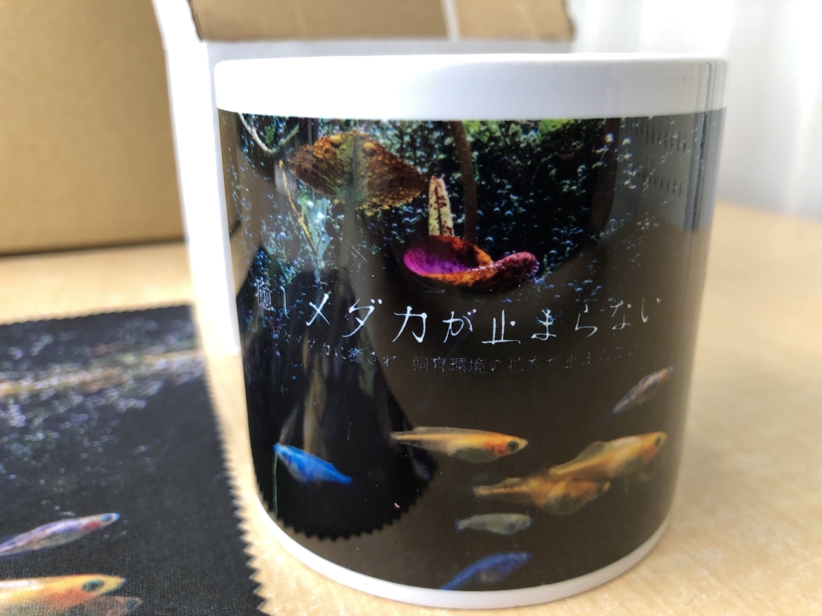 f:id:wildmedaka:20200125185535j:plain