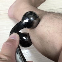 f:id:wildovertheworld:20190316180005j:plain f:id:wildovertheworld:20190316180005j:plain
