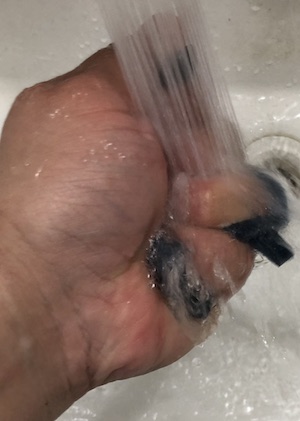 f:id:wildovertheworld:20190323145931j:plain f:id:wildovertheworld:20190323145931j:plain
