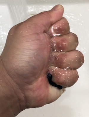 f:id:wildovertheworld:20190323145941j:plain f:id:wildovertheworld:20190323145941j:plain