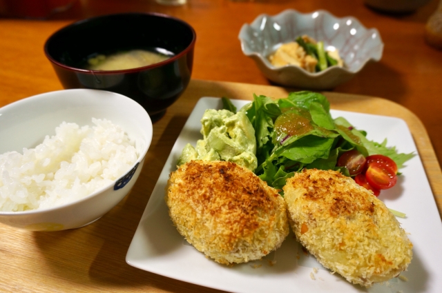 f:id:wildriverpeace:20170201200651j:plain