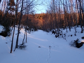 P1254789.JPG