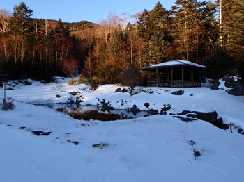 P1254791.JPG