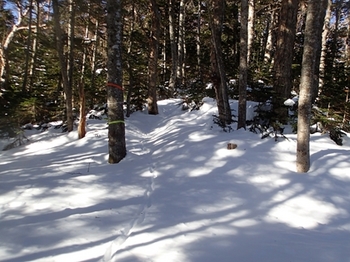 P1254800.JPG