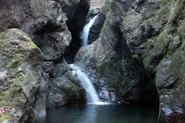 IMG_0757.JPG