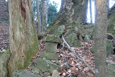 PC218776.JPG