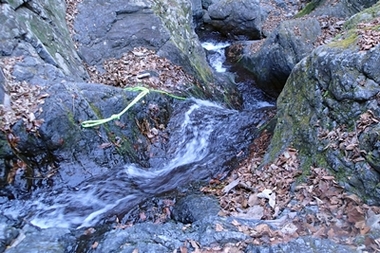 PC218799.JPG