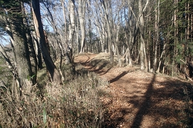 PC218843.JPG