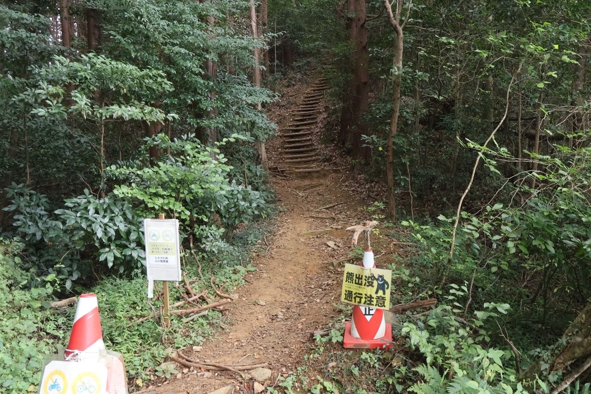 連年余り - 于培山 サクランボ40年の山形の農家、75歳の「卒業」を決意。高齢化、後継者