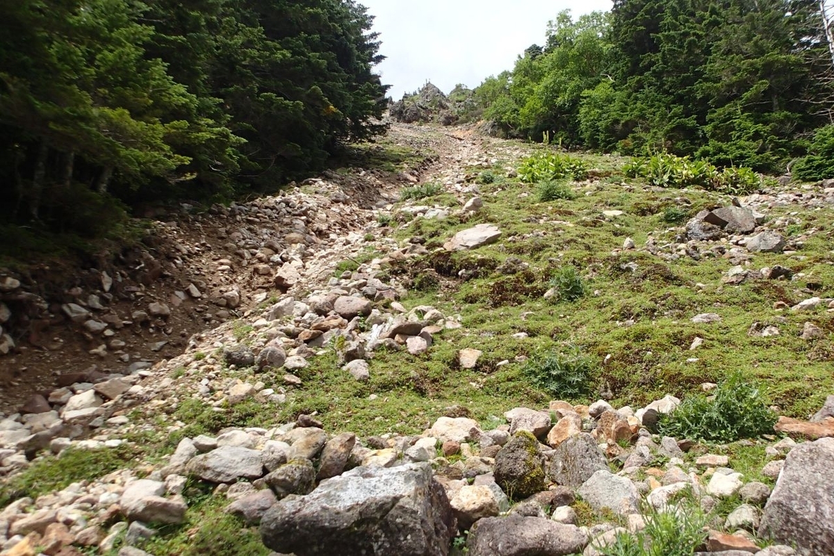 P7301383