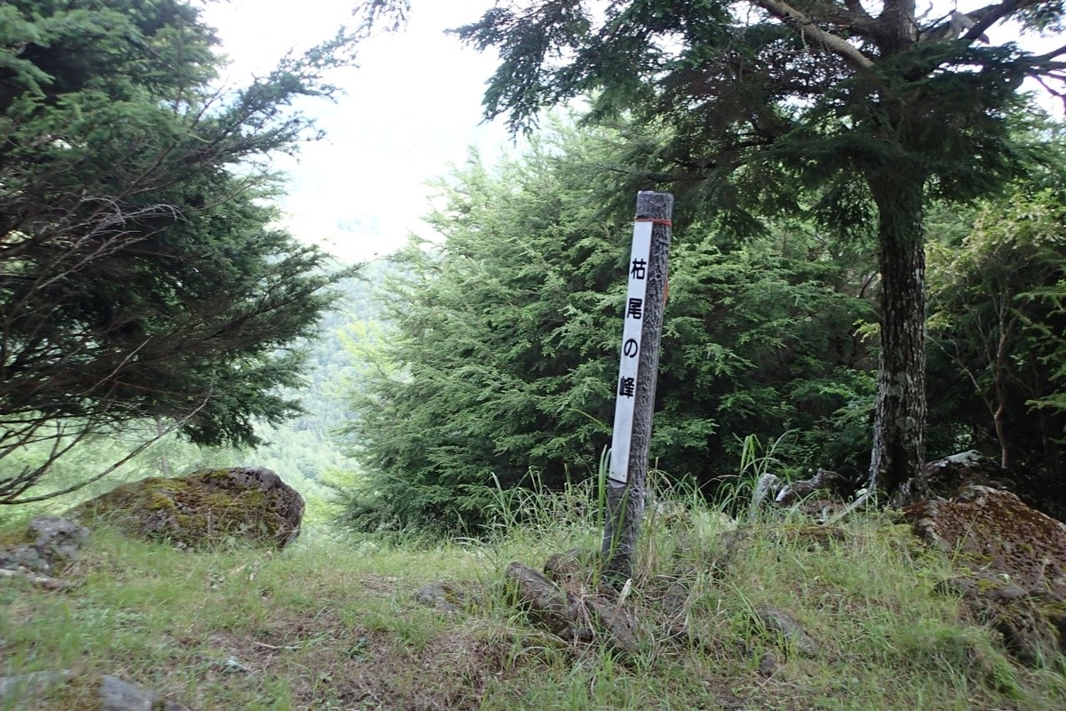 P7301394