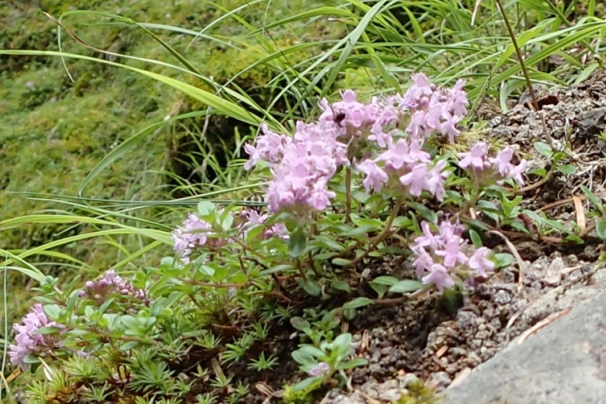 P7301370