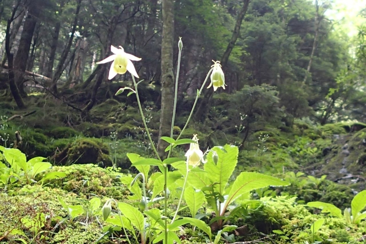 P7301343