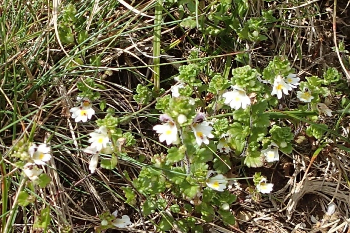 P7301389