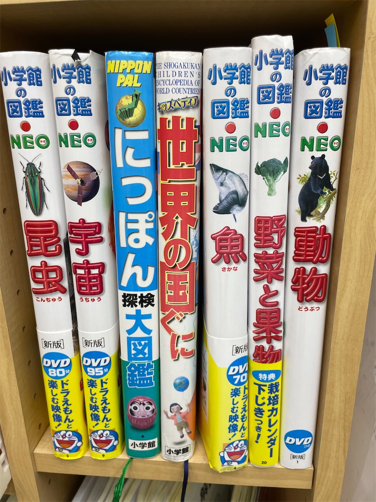 f:id:willbe-ako:20240926025239j:image