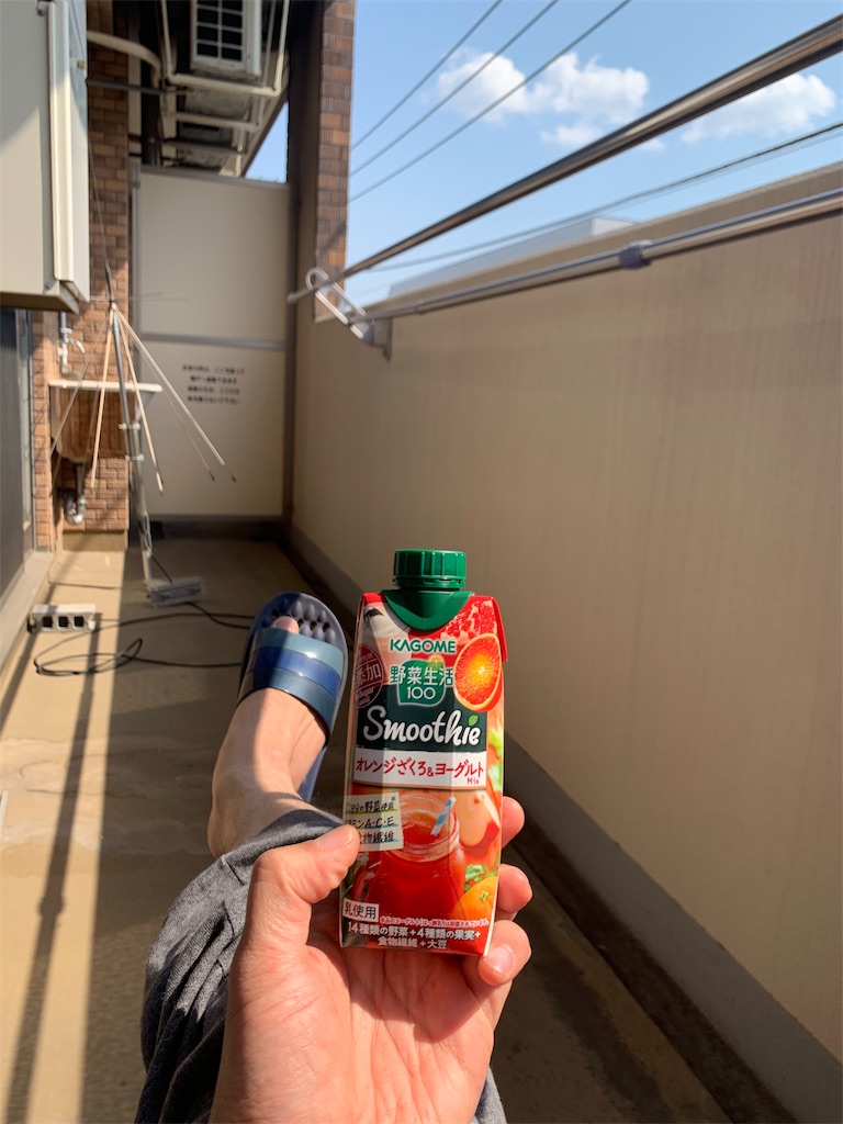 f:id:willemer:20200409102002j:image