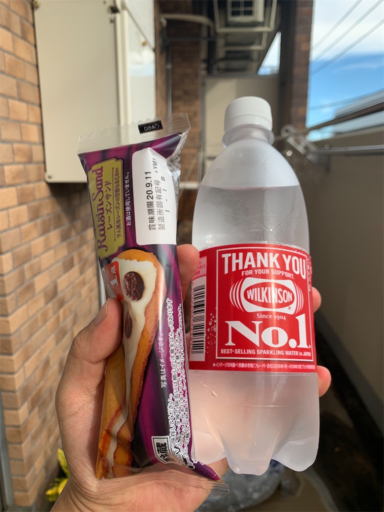 f:id:willemer:20200904080126j:image